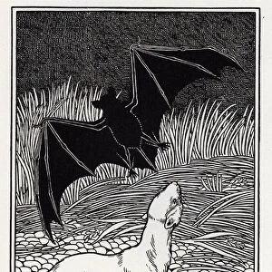 La bat et les deux weasettes - The Bat and the Two Weasels - (Collection 1, Book 2, Fable 5) - engraving from "A Hundred Fables of La Fontaine"Illustrated by Percy J. Billinghurst (1871-1933) - 1899
