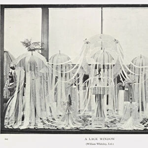 A Lace Window, William Whiteley, Ltd (b / w photo)