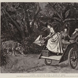 Ladies Adventure with a Tiger in India (engraving)