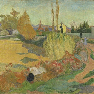 Landscape at Arles, 1888 (oil on canvas)