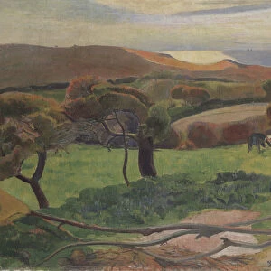 Landscape from Bretagne, 1889 (oil on canvas)