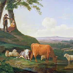 Landscape with cows and sheep (oil on canvas)