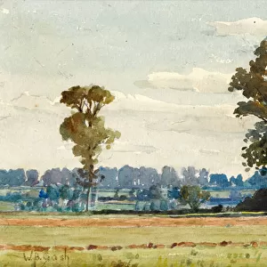 Landscape with Elm Trees (w / c)