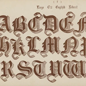 Large Old English Riband (engraving)