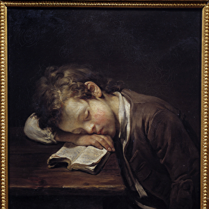 The lazy little one. Portrait of a young boy who slew on his book