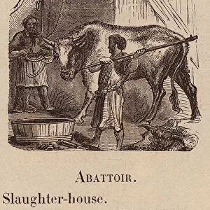 Le Vocabulaire Illustre: Abattoir; Slaughter-house; Schlachthaus (engraving)