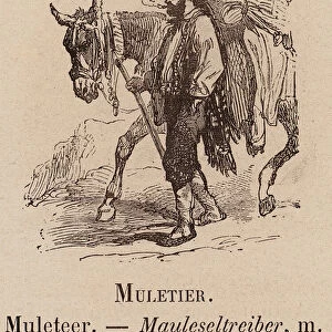 Le Vocabulaire Illustre: Muletier; Muleteer; Mauleseltreiber (engraving)