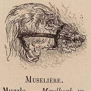 Le Vocabulaire Illustre: Museliere; Muzzle; Maulkorb (engraving)