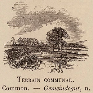 Le Vocabulaire Illustre: Terrain communal; Common; Gemeindegut (engraving)