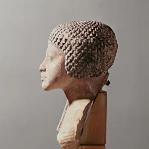 Left profile of the head of a Princess from the family of Akhenaten, New Kingdom