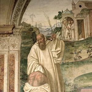 The Life of St. Benedict (fresco) (detail)
