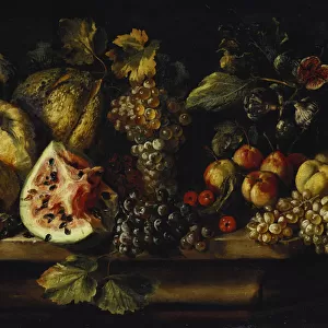 Still Life of Water Melon, Grapes, Plums, Peaches, Cherries and other Fruit on a Ledge
