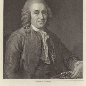 Linnaeus (engraving)