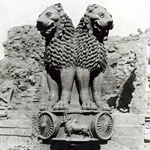 Lion capital from the Pillar of Emperor Ashoka, 273-236 BC (polished sandstone)
