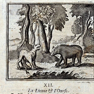 The Lioness and the Bear. Fables by Jean de La Fontaine (1621-95)
