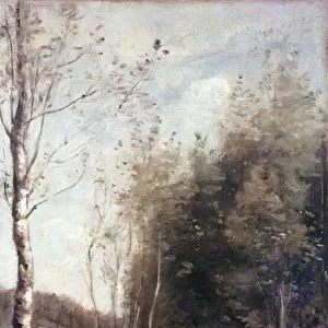 The Little Bridge, 1860 (oil on canvas)