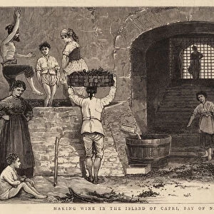 Making Wine in the Island of Capri, Bay of Naples (engraving)