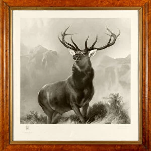 The Monarch of the Glen (engraving)