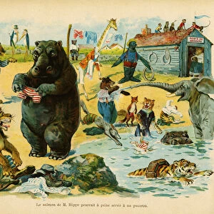 Monsieur Hippos calecon could hardly be used for an aphid, illustration of the childrens book "Les animaux en train de plaisir", by J. Jacquin, drawing by G. H. Thompson, edition Hachette et Cie, 1885, Paris. Selva Collection
