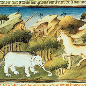 Ms Fr 2810 f. 59v, Mythical animals in the wilderness, from Livre des Merveilles du Monde