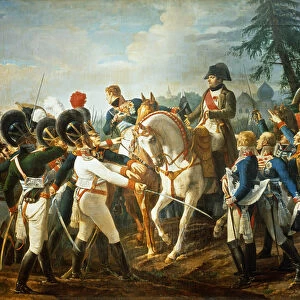 Napoleon and the Bavarian and Wurttemberg troops in Abensberg, 20th April 1809 (oil