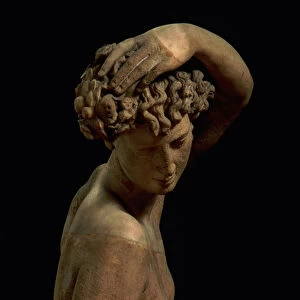 Narcissus, detail of the head, sculpture by Benvenuto Cellini (1500-71) (marble)