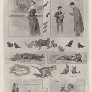 The National Cat Show at the Crystal Palace, 29 and 30 October (litho)