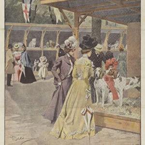 The National Dog, Cat And Poultry Breeding Exhibition, Opened On 5th Corr Nei... (colour litho)