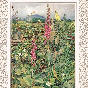 Naues Fairies among Foxgloves, illustration from Idylls of the King by Alfred Tennyson (1809-92), published by Hodder & Stoughton, 1910 (colour litho)