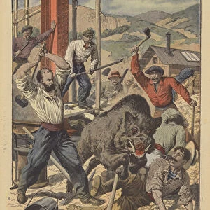 Navvies attacking a wild boar loose in a railway station in the Auvergne, France (colour litho)