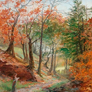 Near Dean Wood, Rivington, 1901 (oil on canvas)