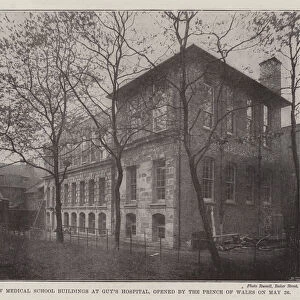 New Medical School Buildings at Guys Hospital, opened by the Prince of Wales on 26 May (engraving)