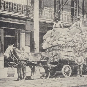 New Orleans: A Float of Cotton Samples (b / w photo)