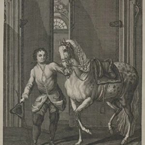 New School of Horsemanship, 1734 (engraving)