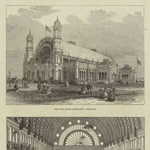 New South Wales Agricultural Exhibitions (engraving)
