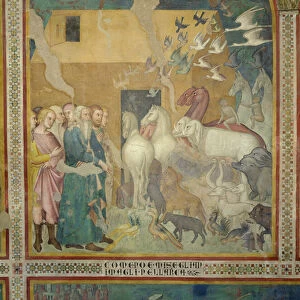 Noah Leading the Animals into the Ark, 1356-67 (fresco) (see also 59303)