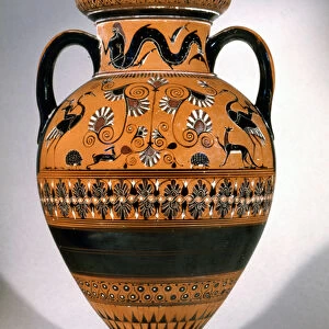 The Northampton Vase, black figure neck amphora, probably Etruria, c