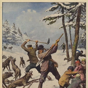 In some northern regions of Europe, the icy cold has induced flocks of ravenous wolves... (colour litho)