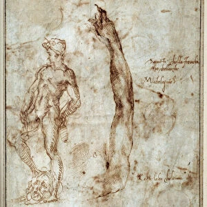 Nude study. Michelangelo Buonarroti dit Michelangelo (Michelangelo or Michel Ange