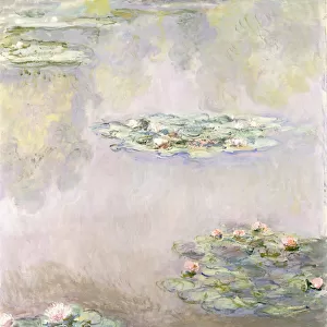 Nympheas, 1908 (oil on canvas)