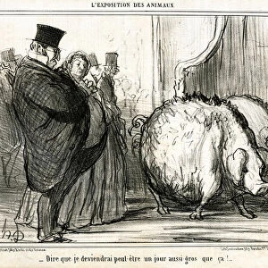 An obese man looks at a pig, "To say that I might become that big one day!", 1856 (illustration)