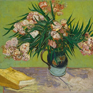 Oleanders, 1888 (oil on canvas)