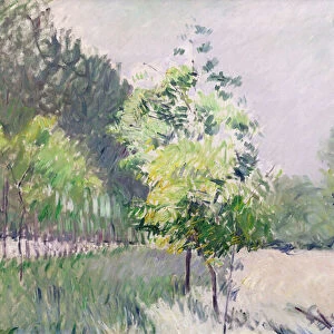 Orchard and avenue of trees (oil on canvas)