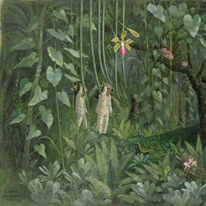 Orchid Hunters of Brazil, 1950 (oil on canvas)