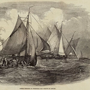 Oyster dredging in Whitstable Bay (engraving)