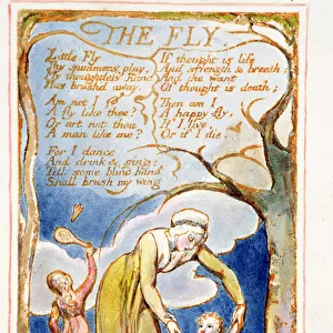 P. 125-1950. pt40 The Fly: plate 40 from Songs of Innocence and of Experience (copy a) c