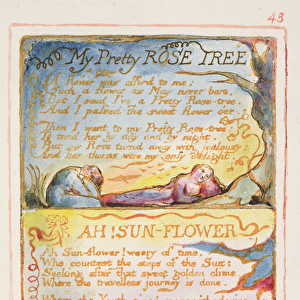 P. 125-1950. pt43 My Pretty Rose Tree; Ah! Sunflower; The Lilly