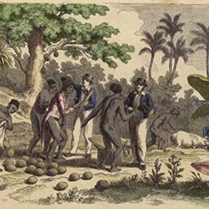 A Pacific island (coloured engraving)