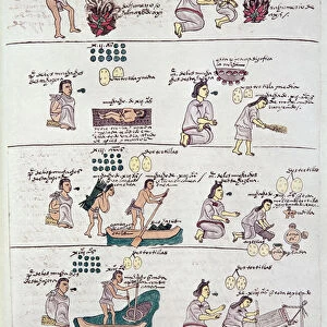 Page from the Codex Mendoza, showing discipline and chores assigned to children, Mexico