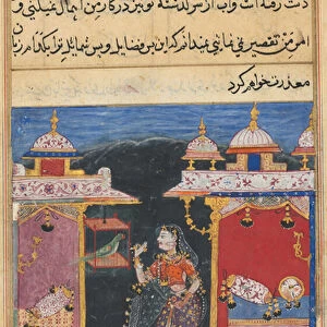 Page from Tales of a Parrot (Tuti-nama): Seventh night: The parrot addresses Khujasta at